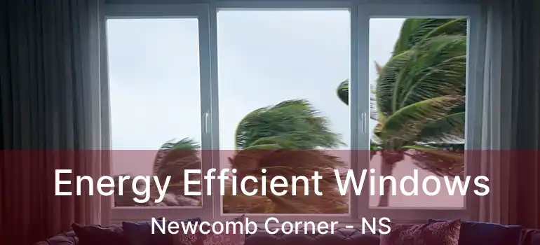  Energy Efficient Windows Newcomb Corner - NS