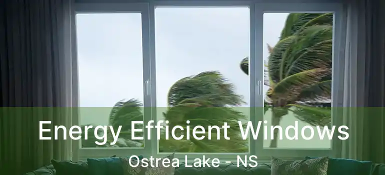  Energy Efficient Windows Ostrea Lake - NS