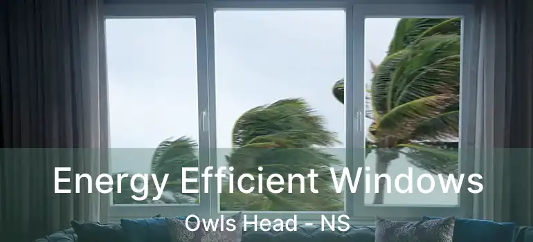  Energy Efficient Windows Owls Head - NS