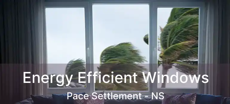  Energy Efficient Windows Pace Settlement - NS