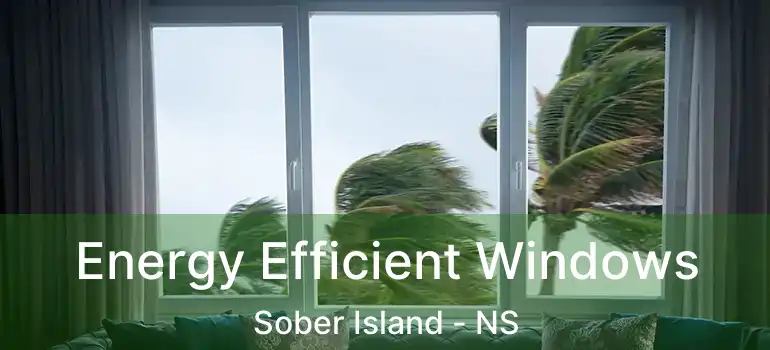  Energy Efficient Windows Sober Island - NS