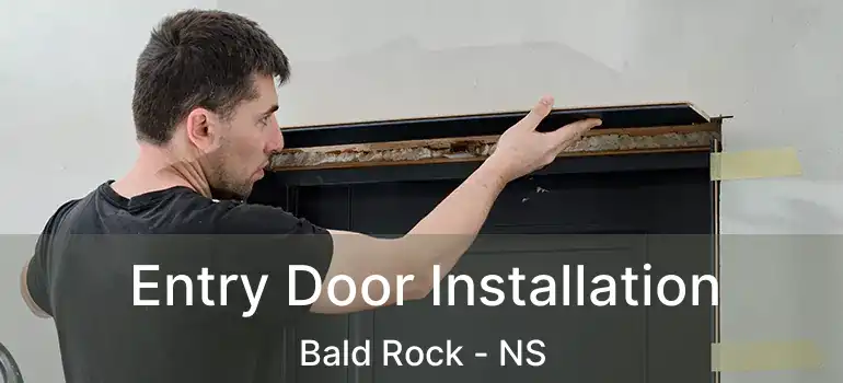  Entry Door Installation Bald Rock - NS