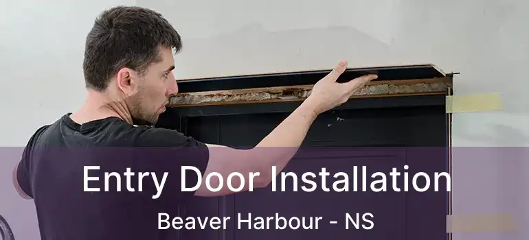  Entry Door Installation Beaver Harbour - NS