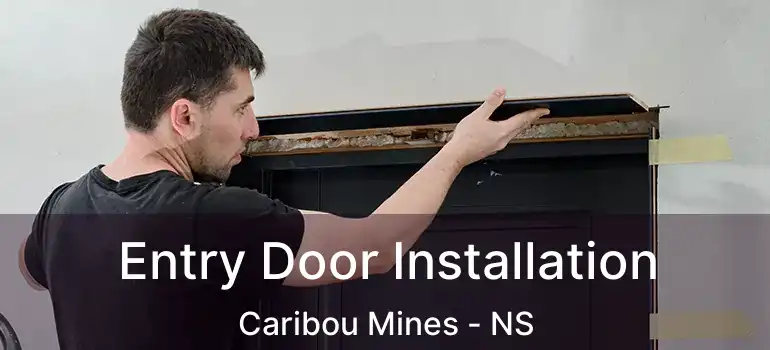  Entry Door Installation Caribou Mines - NS