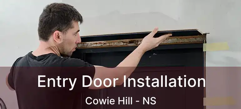  Entry Door Installation Cowie Hill - NS