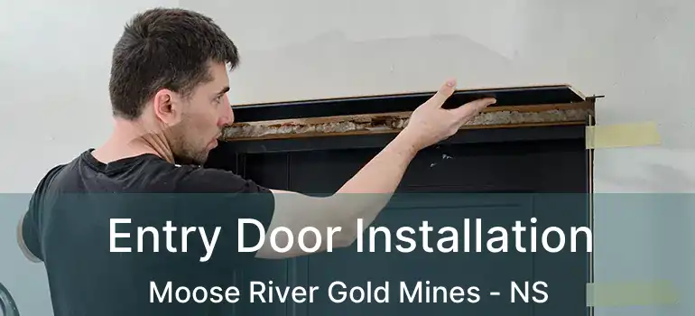  Entry Door Installation Moose River Gold Mines - NS