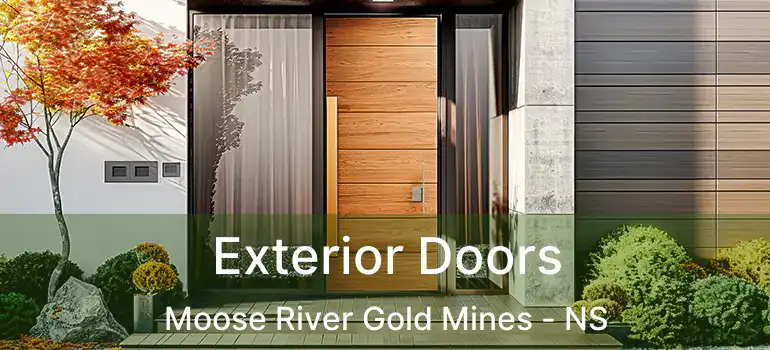  Exterior Doors Moose River Gold Mines - NS