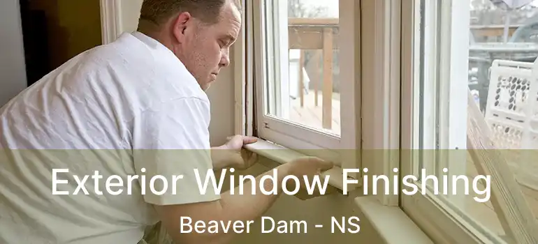  Exterior Window Finishing Beaver Dam - NS