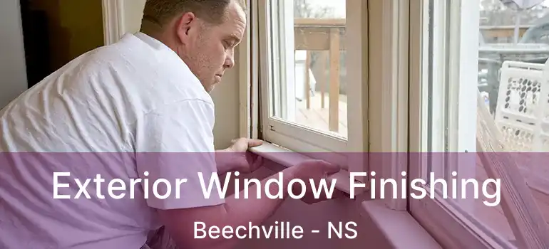  Exterior Window Finishing Beechville - NS