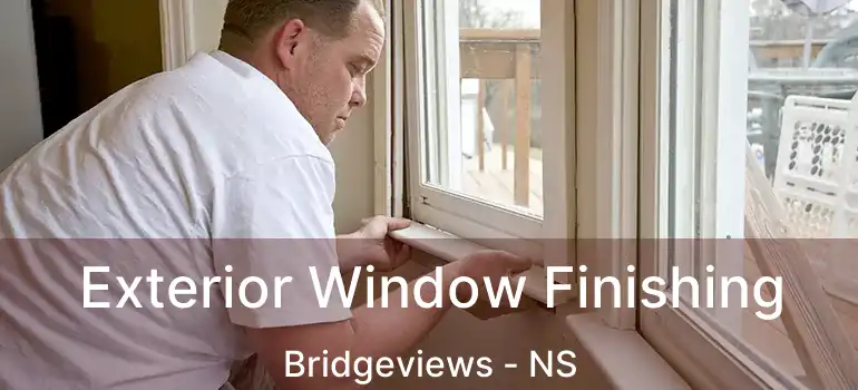  Exterior Window Finishing Bridgeviews - NS