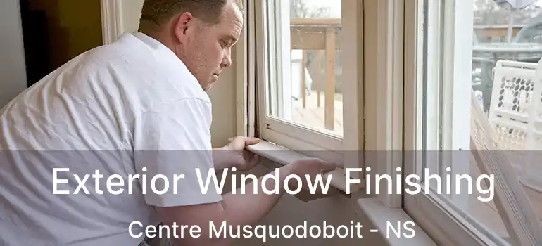  Exterior Window Finishing Centre Musquodoboit - NS