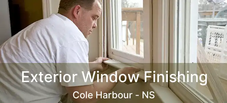  Exterior Window Finishing Cole Harbour - NS