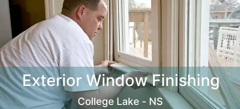  Exterior Window Finishing College Lake - NS