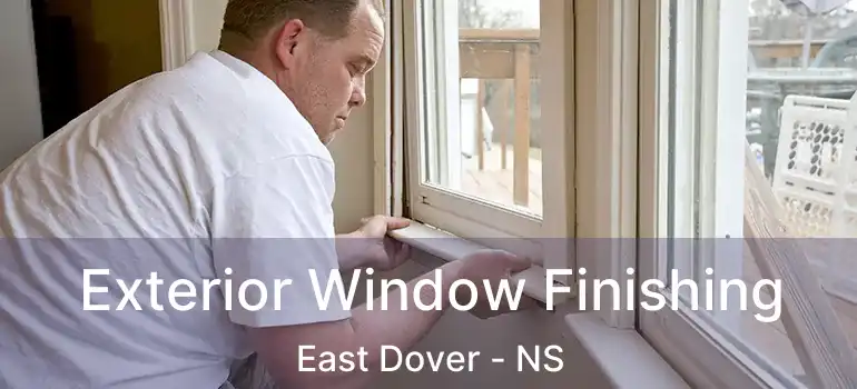  Exterior Window Finishing East Dover - NS