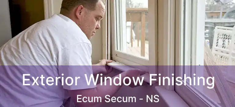  Exterior Window Finishing Ecum Secum - NS