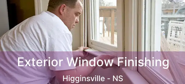  Exterior Window Finishing Higginsville - NS