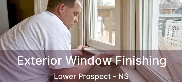  Exterior Window Finishing Lower Prospect - NS