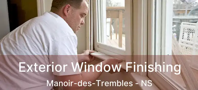  Exterior Window Finishing Manoir-des-Trembles - NS