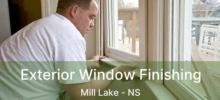  Exterior Window Finishing Mill Lake - NS