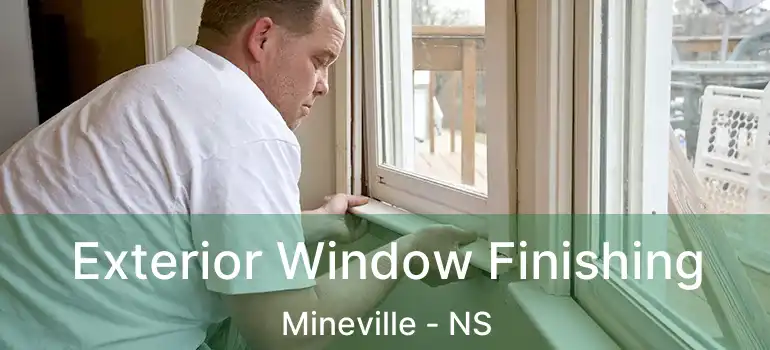  Exterior Window Finishing Mineville - NS