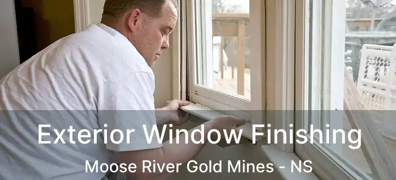  Exterior Window Finishing Moose River Gold Mines - NS