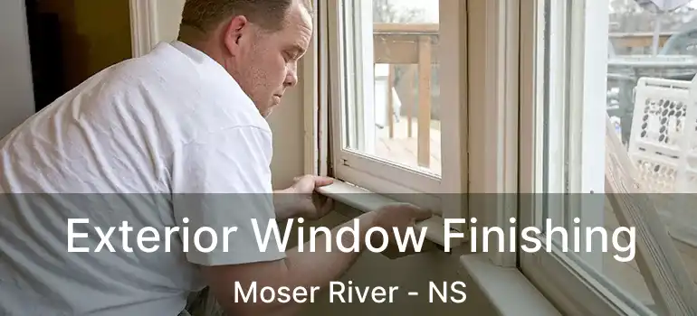  Exterior Window Finishing Moser River - NS