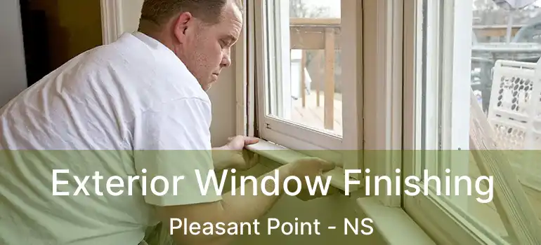  Exterior Window Finishing Pleasant Point - NS