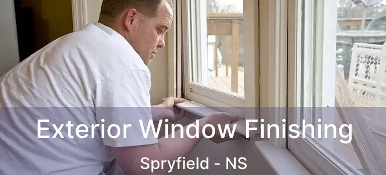  Exterior Window Finishing Spryfield - NS