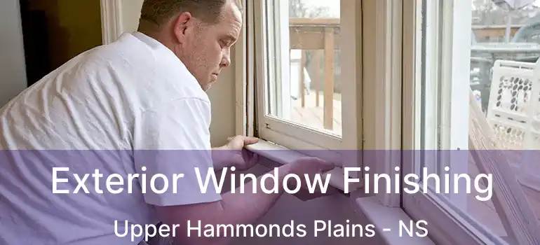  Exterior Window Finishing Upper Hammonds Plains - NS