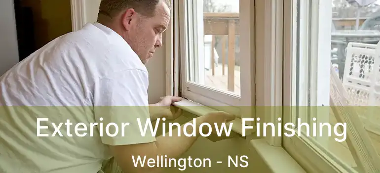  Exterior Window Finishing Wellington - NS