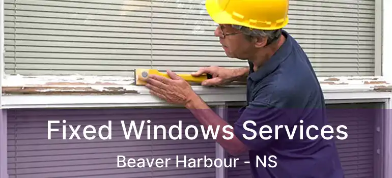  Fixed Windows Services Beaver Harbour - NS