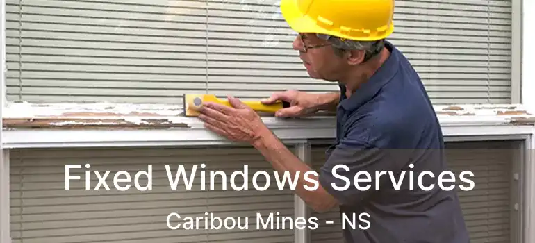  Fixed Windows Services Caribou Mines - NS