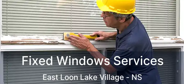  Fixed Windows Services East Loon Lake Village - NS