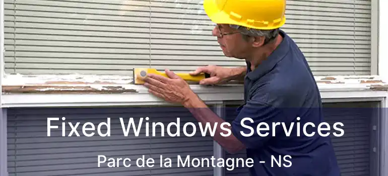  Fixed Windows Services Parc de la Montagne - NS