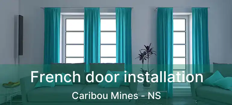  French door installation Caribou Mines - NS