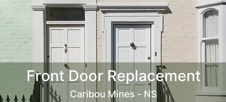  Front Door Replacement Caribou Mines - NS