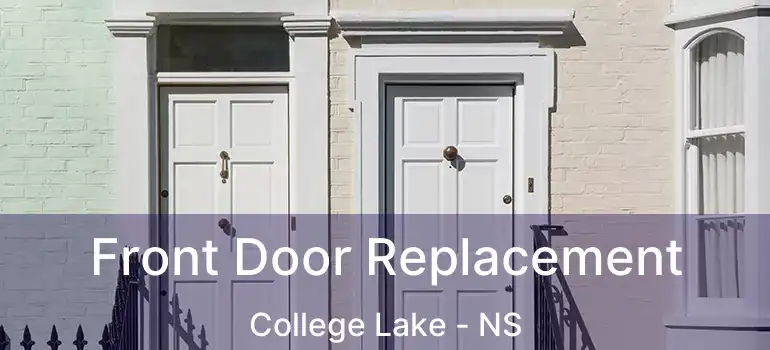  Front Door Replacement College Lake - NS