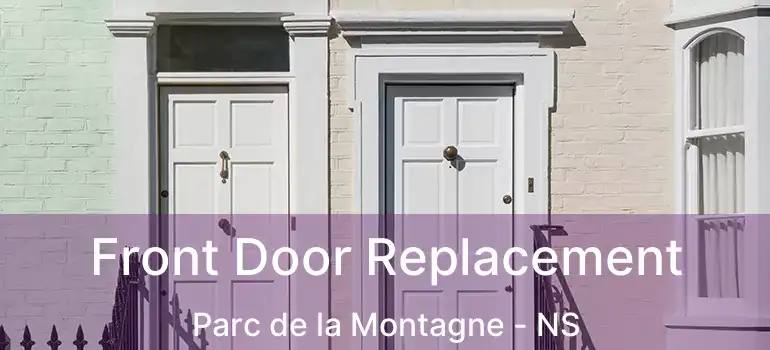  Front Door Replacement Parc de la Montagne - NS