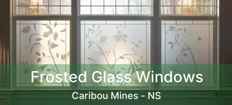  Frosted Glass Windows Caribou Mines - NS