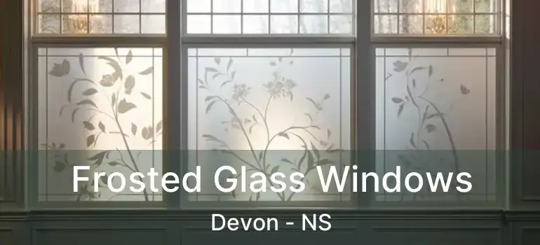  Frosted Glass Windows Devon - NS