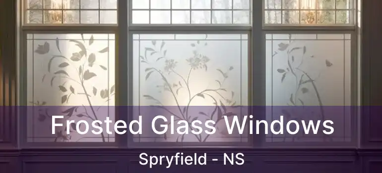  Frosted Glass Windows Spryfield - NS