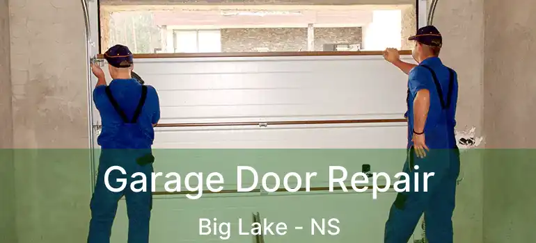  Garage Door Repair Big Lake - NS