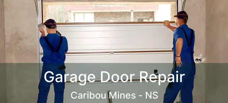  Garage Door Repair Caribou Mines - NS