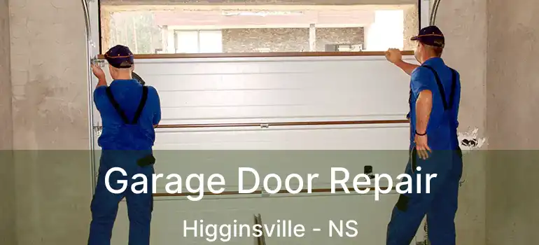  Garage Door Repair Higginsville - NS