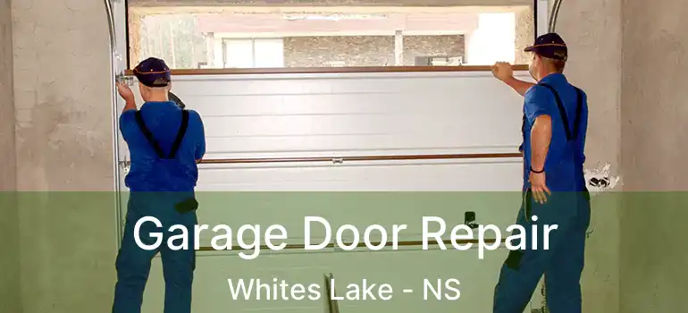  Garage Door Repair Whites Lake - NS