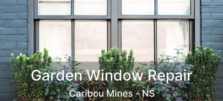  Garden Window Repair Caribou Mines - NS