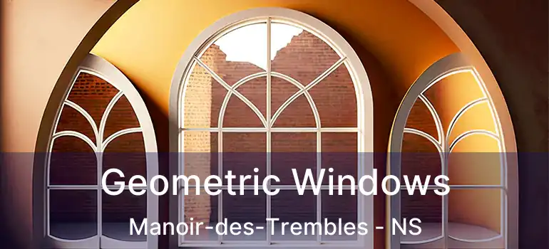  Geometric Windows Manoir-des-Trembles - NS