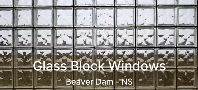  Glass Block Windows Beaver Dam - NS