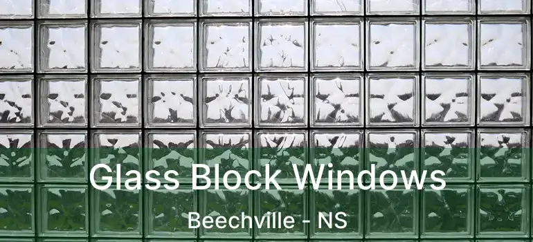  Glass Block Windows Beechville - NS