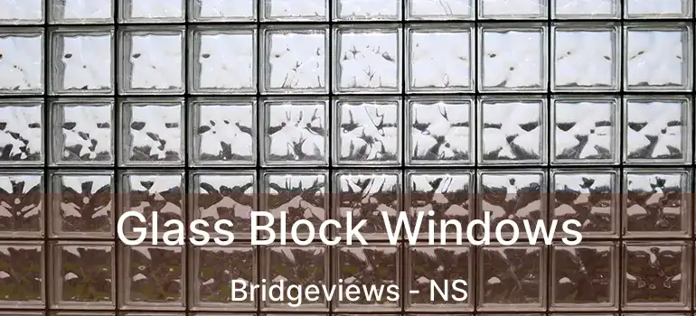  Glass Block Windows Bridgeviews - NS